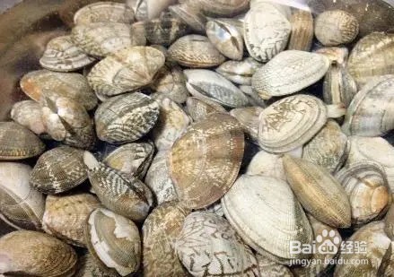 花甲买回家后怎么保持鲜活