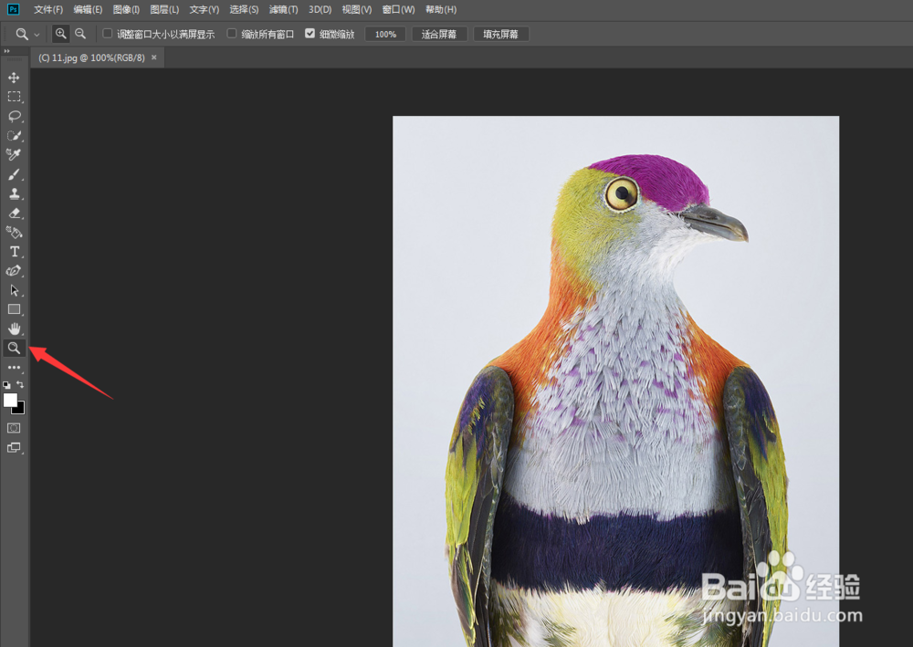 教你PS软件里面中如何快速放大、缩小。