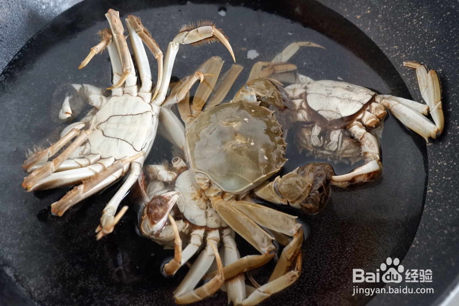 【海鲜蟹肉煲】简单做法