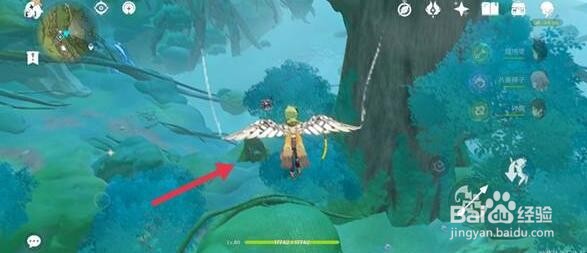 原神水天丛林宝箱位置攻略