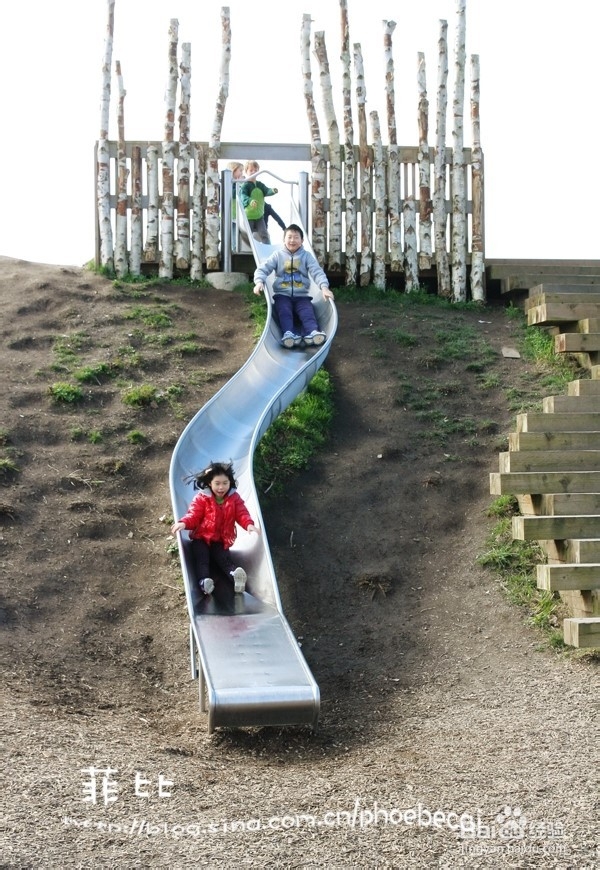 温哥华百万木头公园