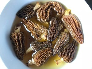 羊肚菌煲什么汤好