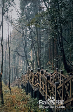 张家界武陵源风景区攻略