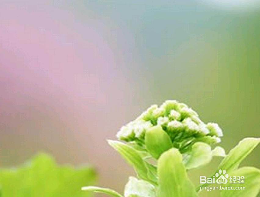 职场好人缘从不是偶然，做到这八条事半功倍！