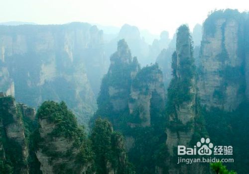台湾到张家界旅游攻略