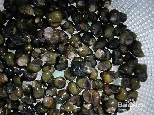 酱香小螺蛳的做法