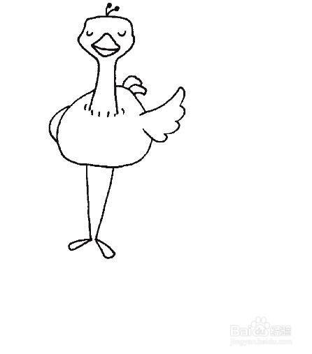 鸵鸟的简笔画