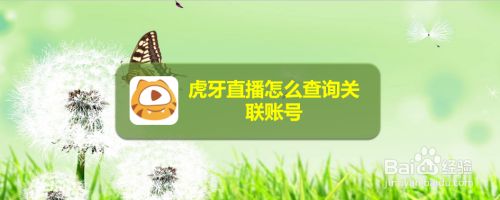 虎牙直播怎么查询关联账号