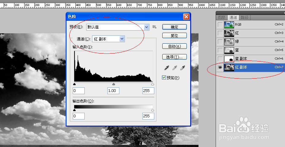 怎么用PS通道抠图