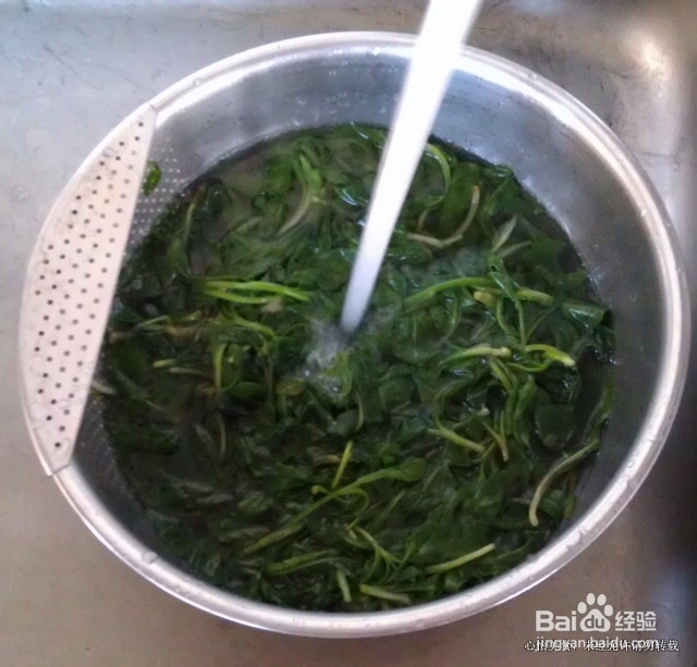 亲手采撷的好味--蒜泥马兰头