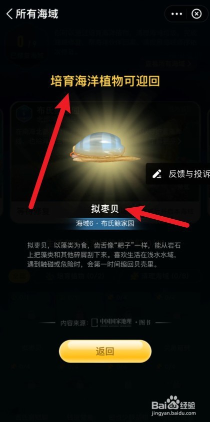 神奇海洋拟枣贝怎么获得