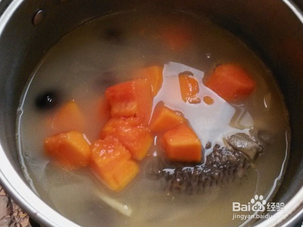制作美味的红枣木瓜鲫鱼汤