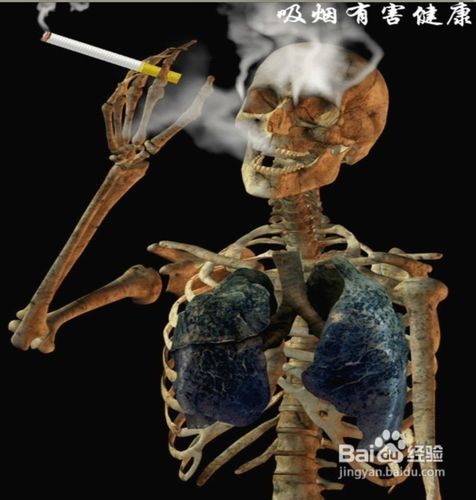 > 保健養生 吸菸的危害,吸菸不僅危害自己的身體,也會對