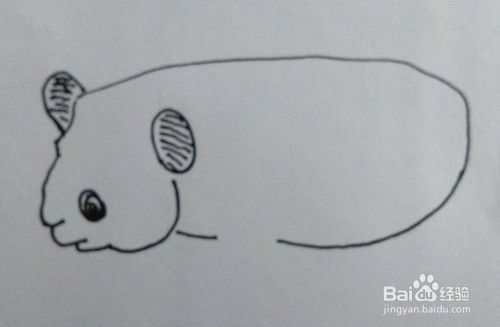 大熊猫画法教程（1）怎么画，如何画大熊猫？