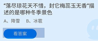 “封它梅蕊玉无香”描述的是哪种冬景蚂蚁庄园