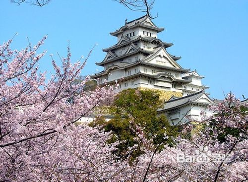 清明节出境游—日本之旅