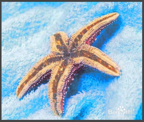 怎样做GIMP的布状效果