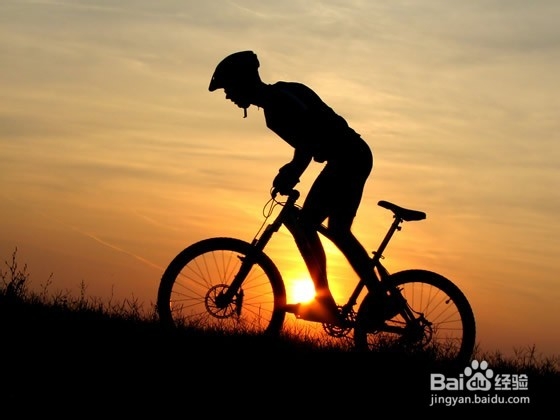 对身体有益的运动