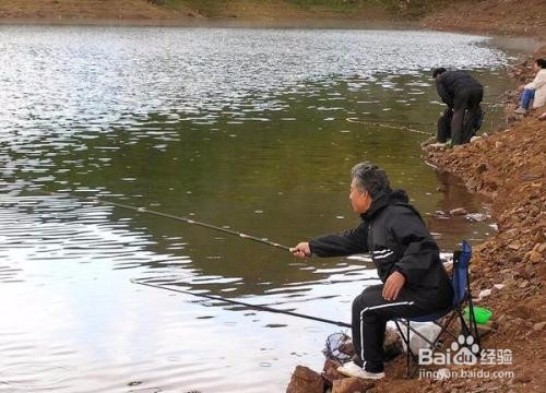 野钓中那些鱼有毒还有硬刺
