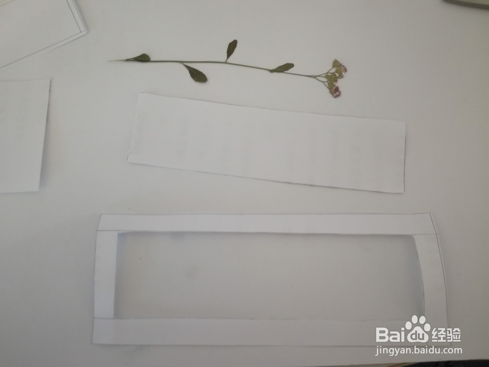 植物书签的制作