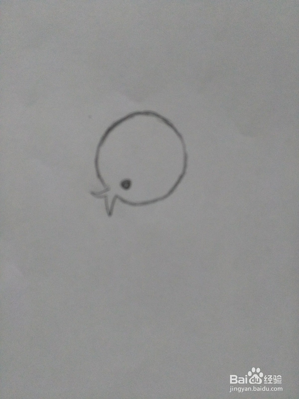 简笔画---小鸡和小鸭的画法