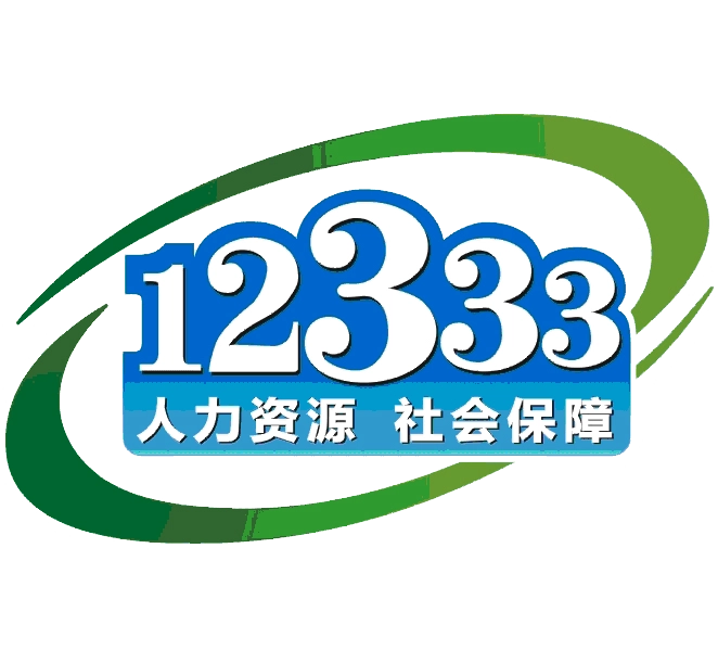 12333主要负责什么