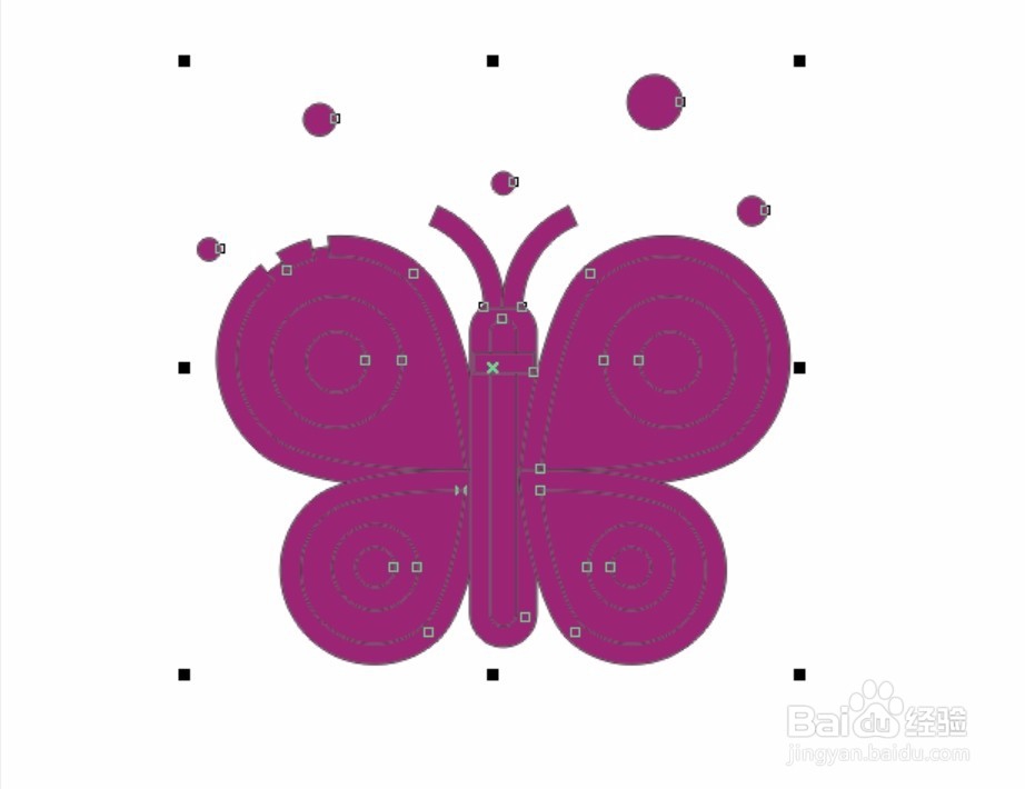 蝴蝶简笔画图片设计