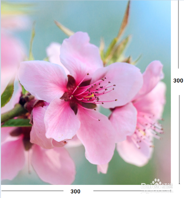 怎样发布优化软文