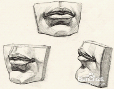 认识石膏像之二