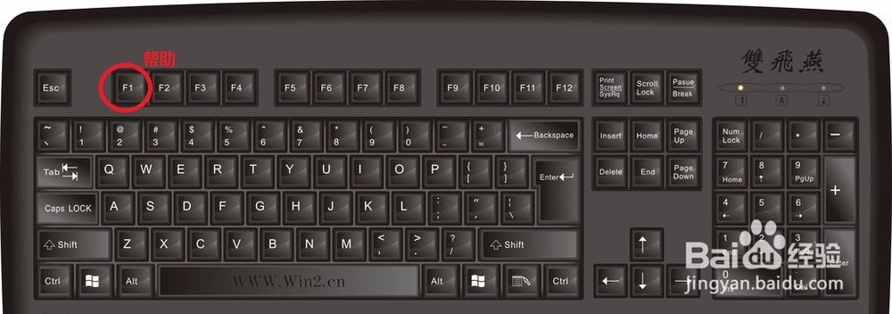 工作中最常用的快捷键