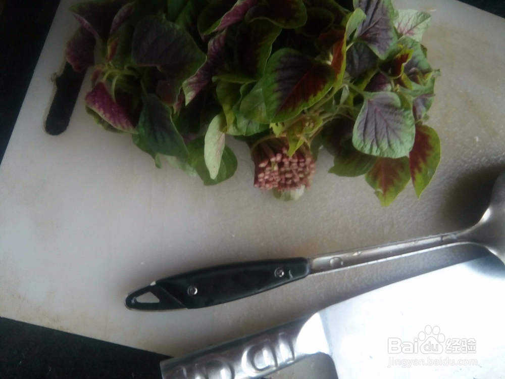 清炒苋菜的家常做法你知道吗