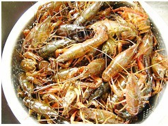 秘制蒜香小龙虾的做法