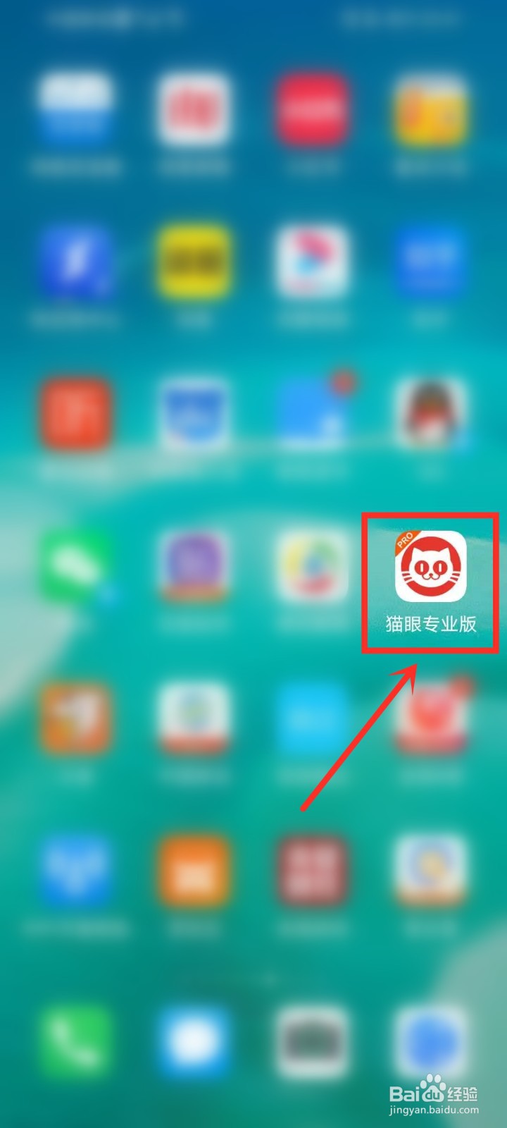 你的婚礼票房预测在哪看