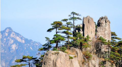 黄山奇石的金龟深海对吗