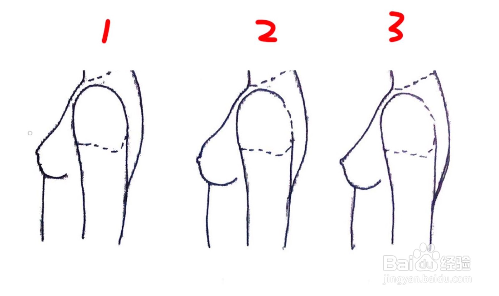 怎么在PS中将胸修大