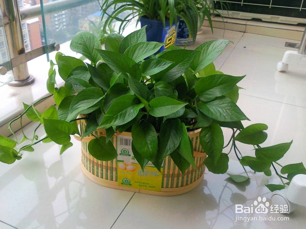 如何应对雾霾天气