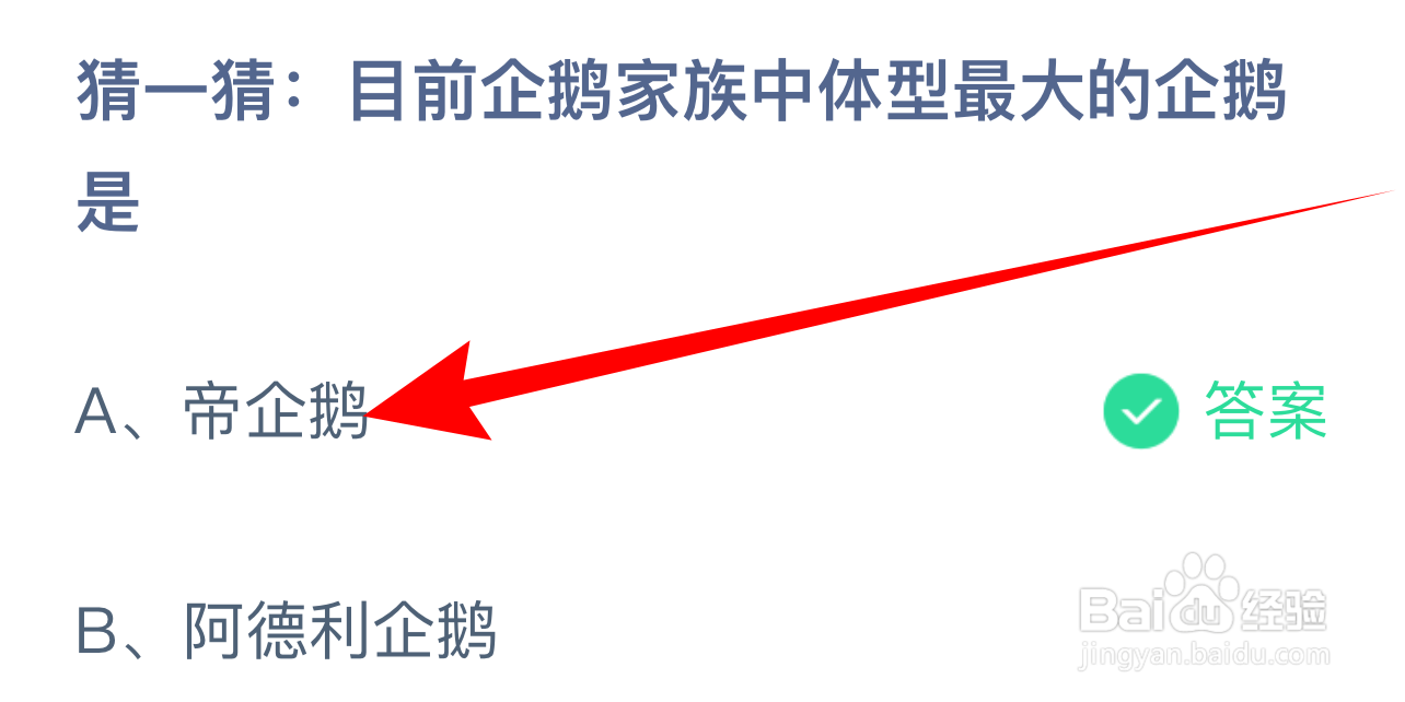 蚂蚁庄园目前企鹅家族中体型最大的企鹅是