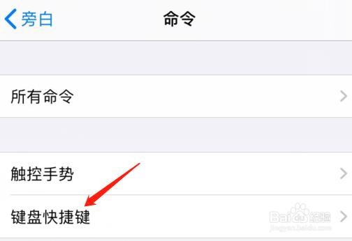 iPhone怎么设置全部朗读的键盘快捷键