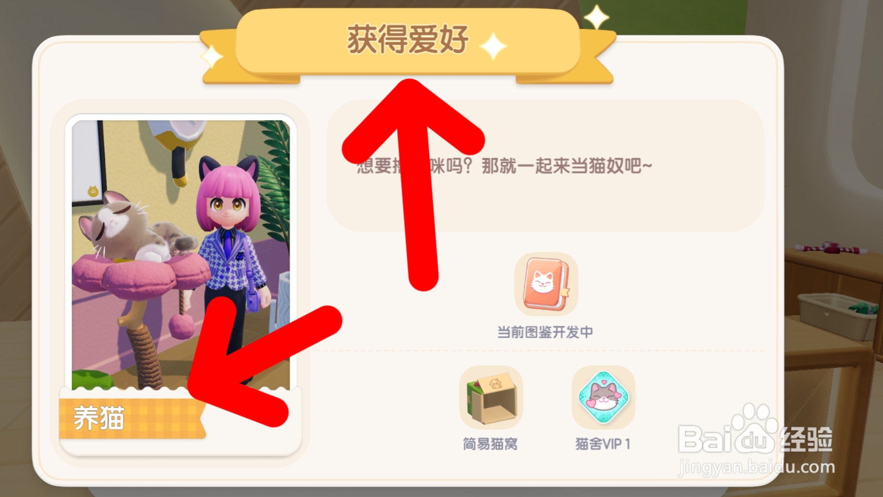 心动小镇如何解锁养猫爱好