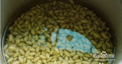 在家制作猪蹄黄豆汤方法技巧