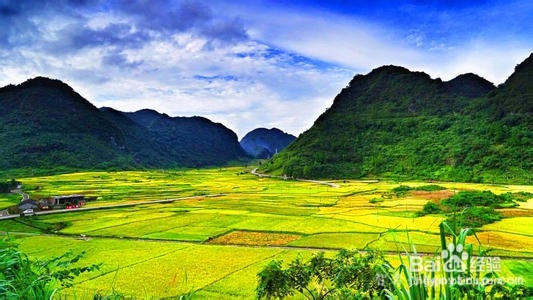 贵州茂兰旅游攻略