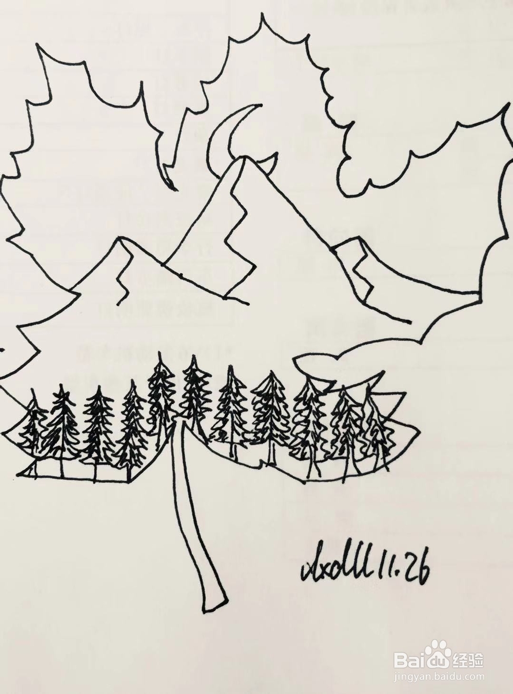 简笔画教程之叶子