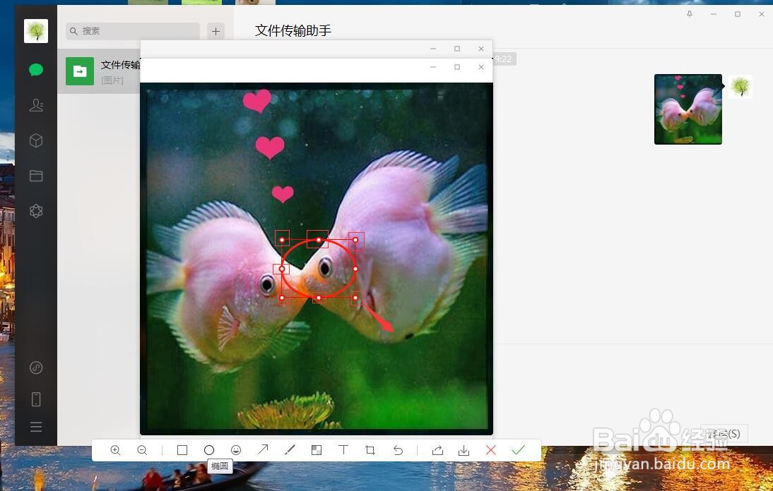 电脑微信如何对图片进行椭圆形标注