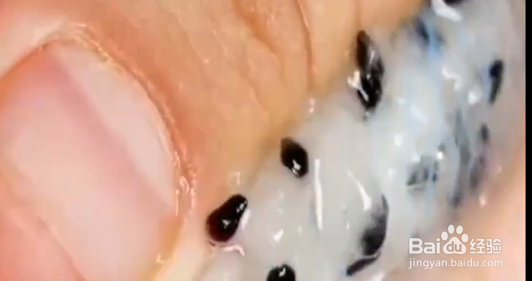 如何在家轻松种出水果？