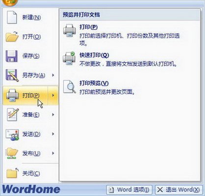 怎样在Word2007中选择打印内容