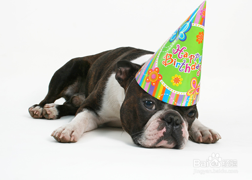 拜耳喂多了怎么办