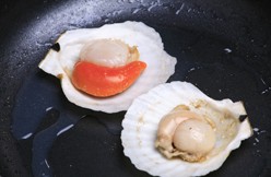 日月贝苦菊沙拉