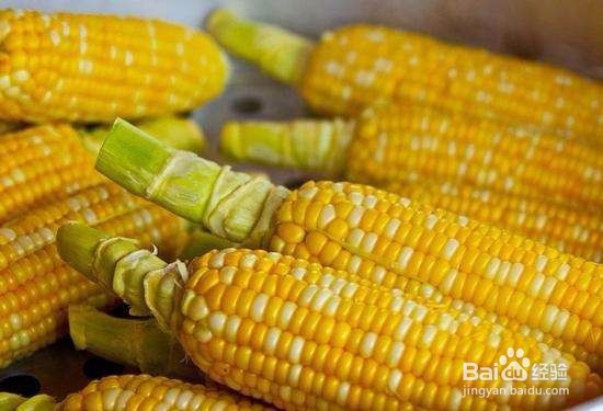 玉米的好处有哪些,玉米的食用禁忌