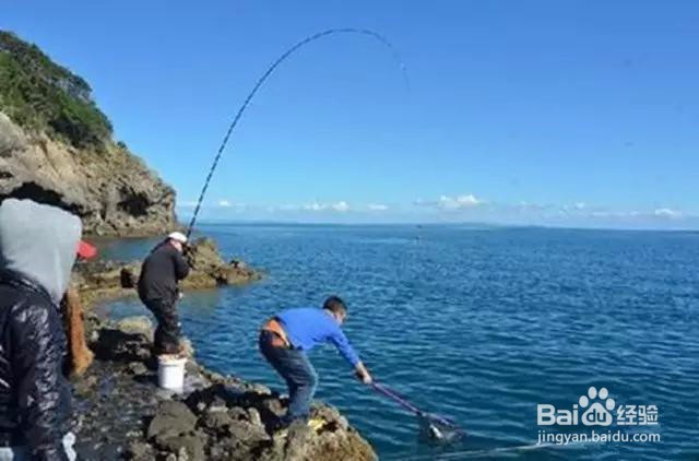 海钓技巧教程