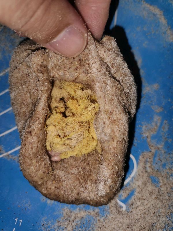 金枪鱼肉松全麦藜麦面包